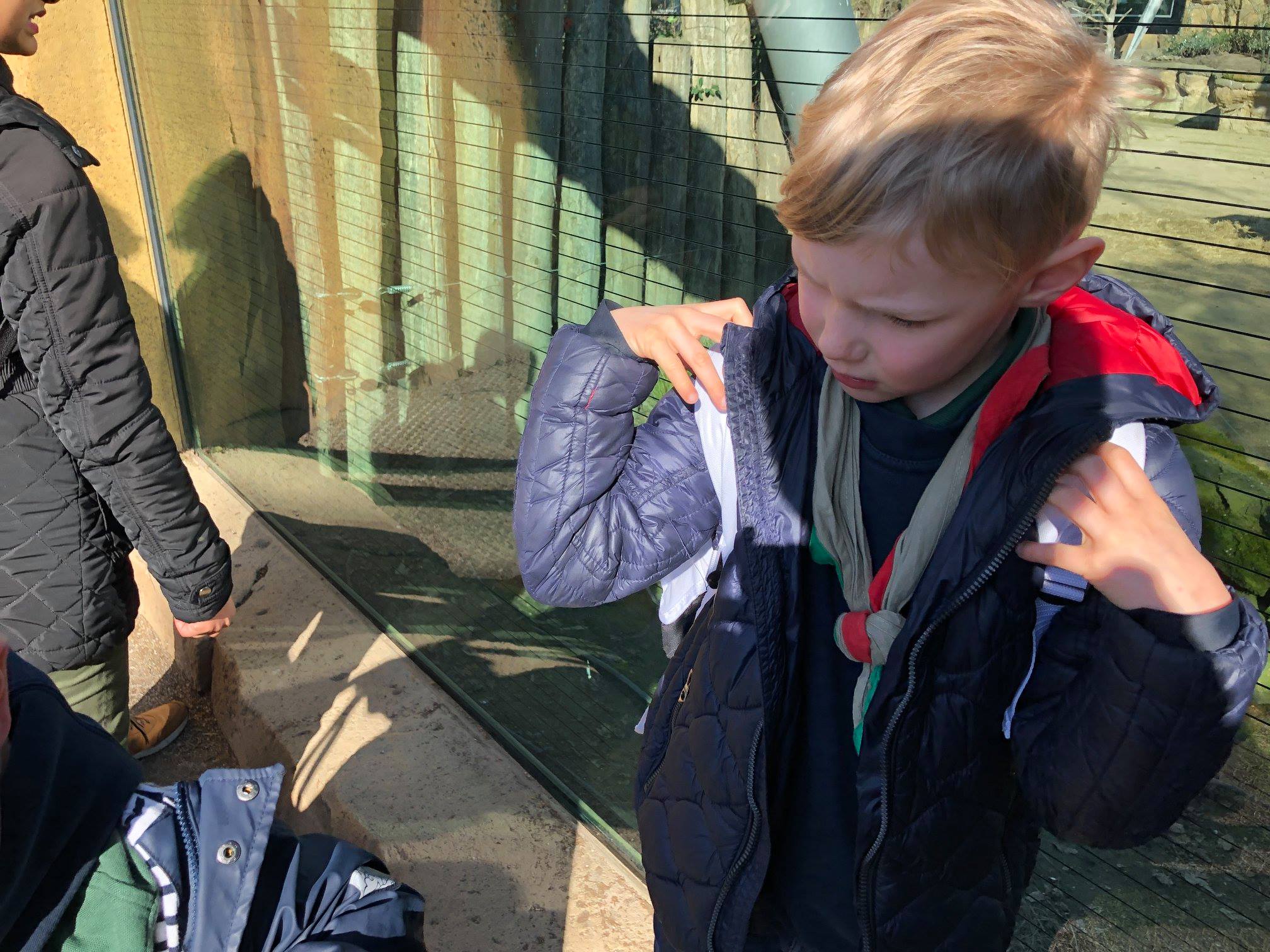 Sint-Martinus den XIIde - Zoo Antwerpen Kapoenen